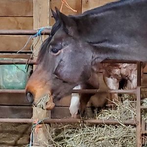 Meet your Posher, Sara